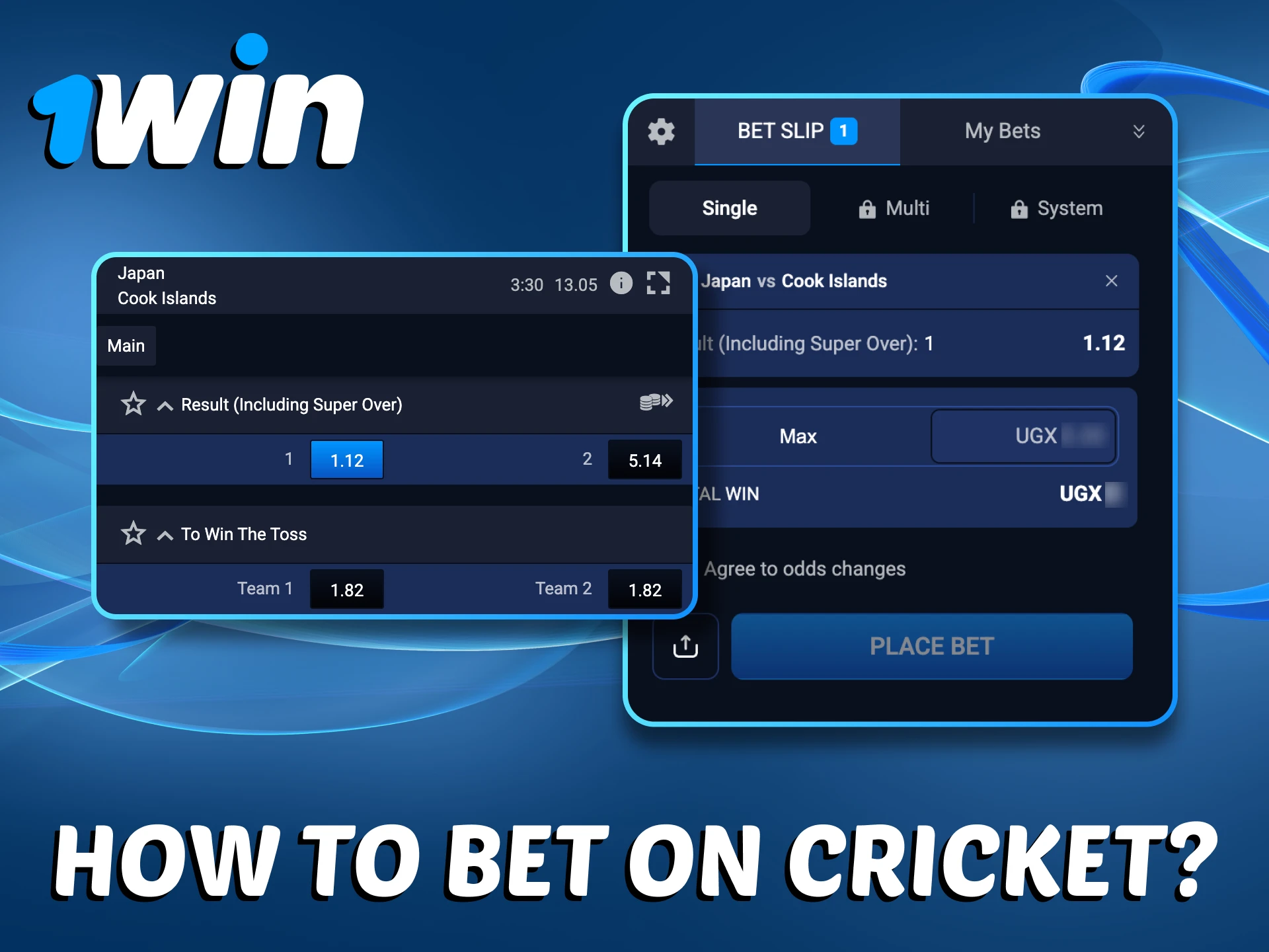 You can easily bet on cricket events at 1Win.